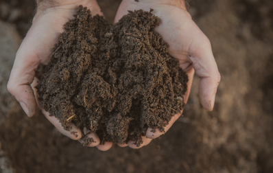 Distribution gratuite de compost le 23 mai à Montmagny