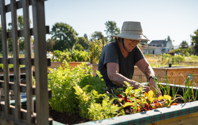 Parcelles de terre et jardinières à louer aux jardins communautaires